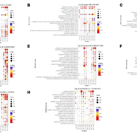 Wgcna Analysis Of Rna Seq Data A Analysis Of Network Topology For