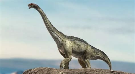 9 Beefy Facts About The Brontosaurus - The Fact Site