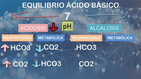 Equilibrio Ácido Basico Youtube