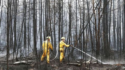 Toxic Smoke From Canadian Wildfires Could Impact Health Of Millions In