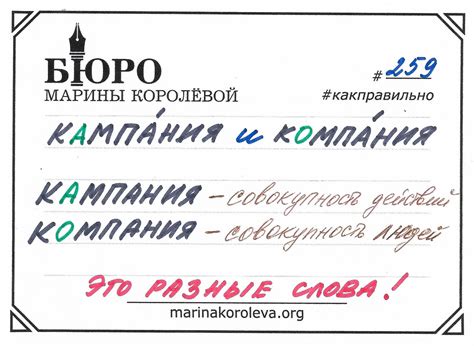 КАМПАНИЯ и КОМПАНИЯ - Год Литературы