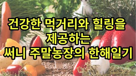 건강한 먹거리와 힐링을 주는 써니주말농장의 한해일기 Youtube