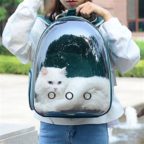 Clear Cat Backpack 51 Off Limited Offer Inspire Uplift