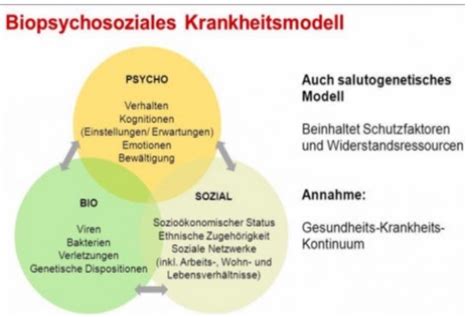 02 Systemische Therapie Karteikarten Quizlet