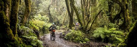 Mountain Bike Parks And Trails 100 Pure New Zealand