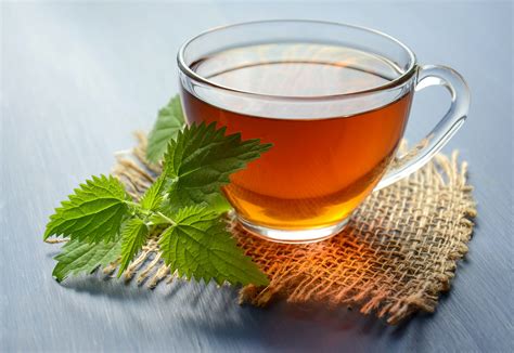 Top 9 Types of Organic Tea & Their Benefits | GreenChoice