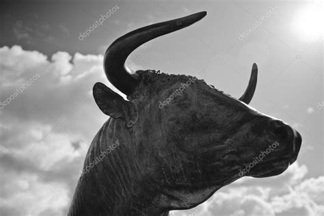 Bull head silhouette — Stock Photo © Juan_G_Aunion #33127635