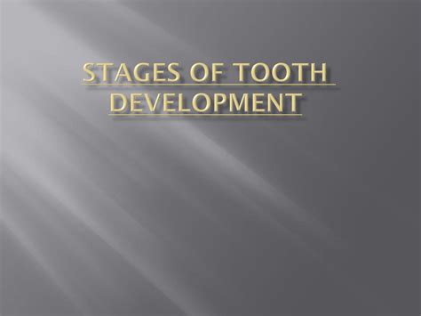 SOLUTION: Stages of tooth development - Studypool