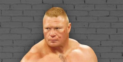 Brock Lesnar Body Measurements, Height, Weight, Shoe Size