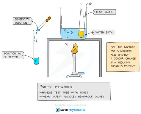 Practical Food Tests Edexcel IGCSE Biology Revision Notes 2019