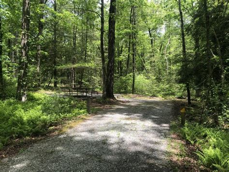 Site 40 Lake Rabun Beach Recreation Area