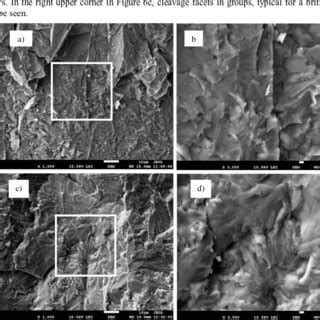 Sem Photographs Of Fracture Surfaces Of Transverse Tensile Test