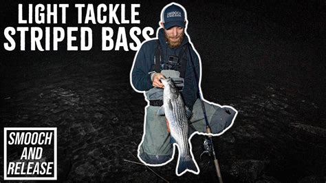 Light Tackle Striped Bass Spring Night Time Smooch And Release Surf