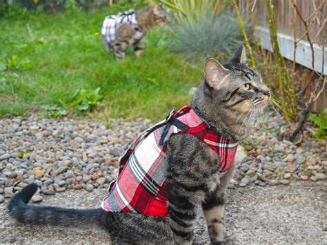 Cozy Step In Cat Harness Digital Sewing Pattern Etsy