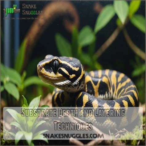 Best Substrate For Ball Pythons Top Choices For Happy Snakes