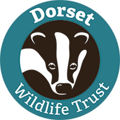 Dorset Wildlife Trust - YouTube