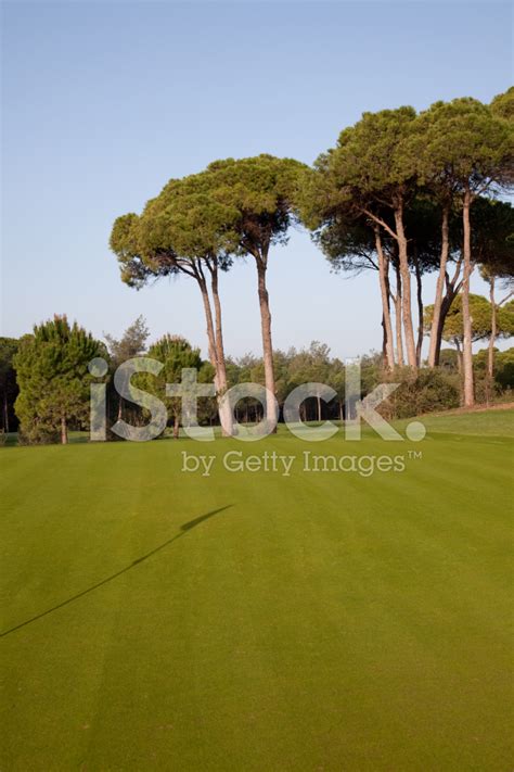 Fairway On A Golf Course Stock Photo | Royalty-Free | FreeImages