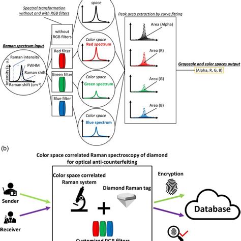 Color Space‐correlated Raman Spectroscopy For Optical Download Scientific Diagram