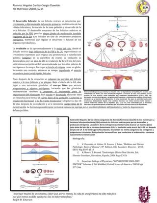 Hiper E Hipotiroidismo Y Ciclos Menstruales Pdf