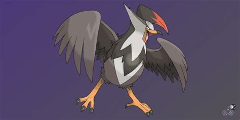 Best Bird Pokemon Of All Time - BeStreamer