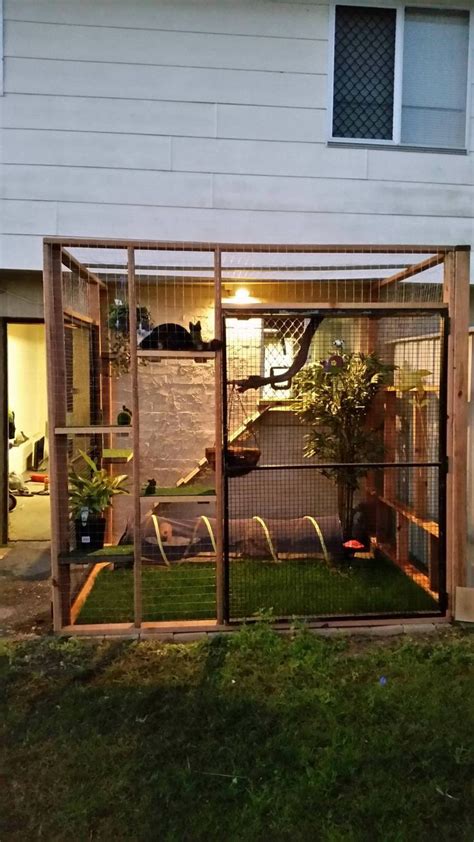 Amazon.com: Outdoor Cat Enclosure | Cat house diy, Outdoor cat house ...