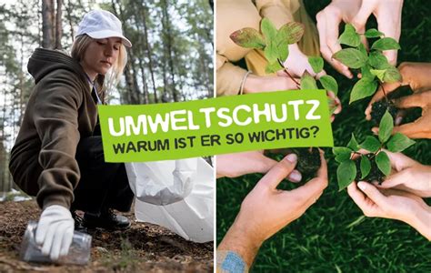 Umweltschutz ist wichtig 10 Gründe für den Schutz der Natur