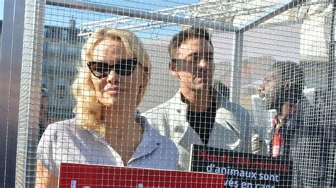 Dals Pamela Anderson Et Maxime Dereymez En Cage Pour La Bonne Cause