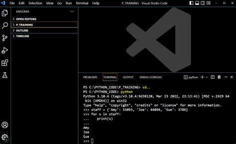 How to Execute Python Shell Commands – Be on the Right Side of Change