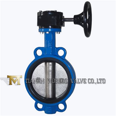 Cast Iron Worm Gear Operated Wafer Butterfly Valve China Valve