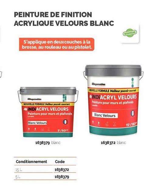 Promo Peinture De Finition Acrylique Velours Blanc Les Indispensables