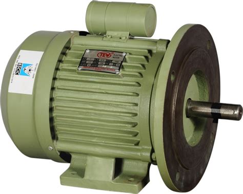 Flanch Mounted Motors Tew