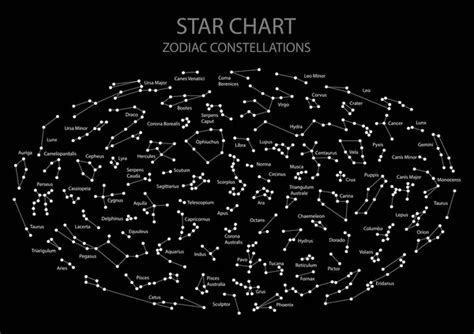 Vector. Star map