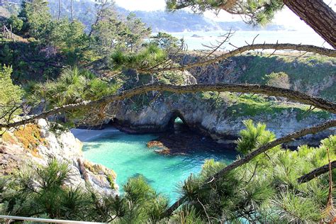 Point Lobos State Reserve | Tonya Staab