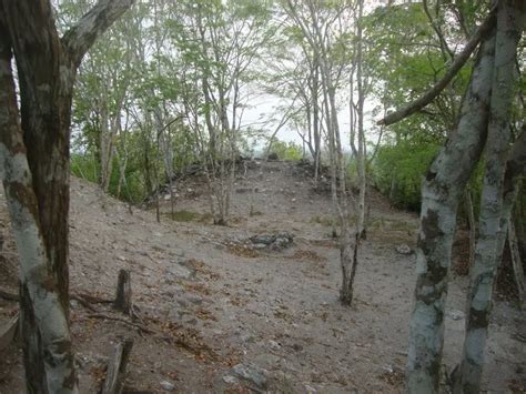 nakbe  brain chamber
