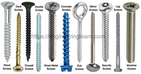 Types of Screws and Their Uses