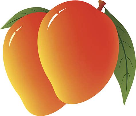 Clipart Mango