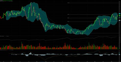 Live Trading Charts