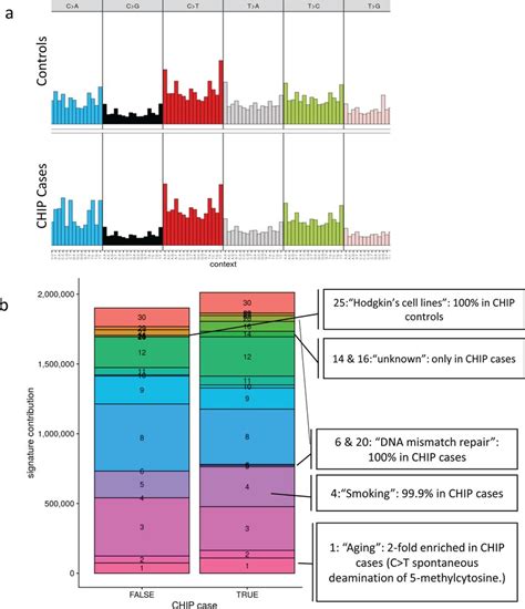 Chip Passenger Somatic Mutation Spectrum A Singleton Mutation Counts