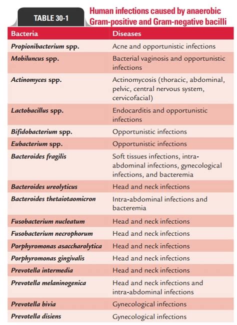 Anaerobic Gram-Positive Bacilli