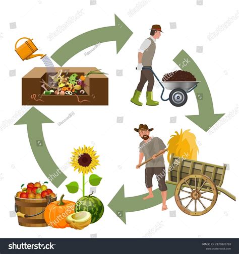 Cycle Stages Composting Process Stock Vector (Royalty Free) 2120820710