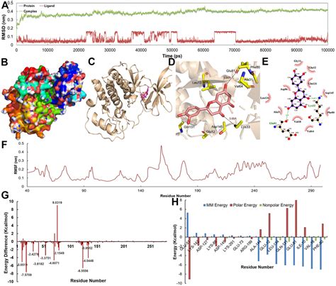 Systematic Investigation Of The Mechanism Of Herbal Medicines For The