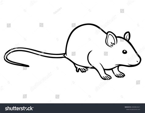 Rat Line Vector Illustration Isolated On Stock Vector (Royalty Free) 2000863421 | Shutterstock