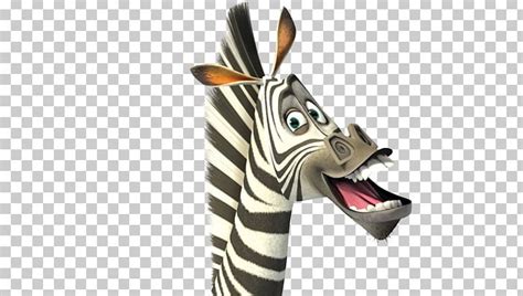 Marty Alex Madagascar Escape 2 Africa Melman Png Clipart Gloria