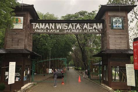 Taman Wisata Alam Mangrove Angke Kapuk Alam Jakarta