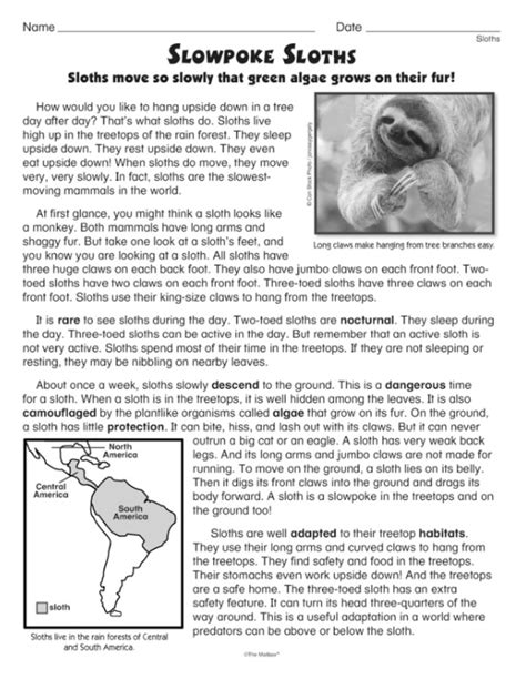 Check Out This Informational Reading Passage About The Slowpoke Sloth