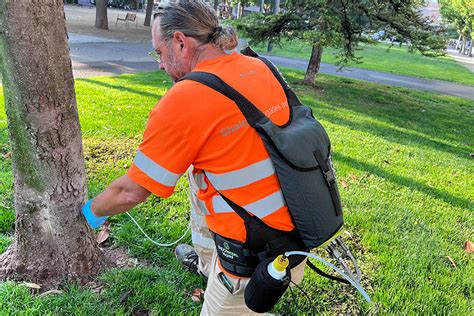 El área de jardinería especialista en endoterapia vegetal Fundació