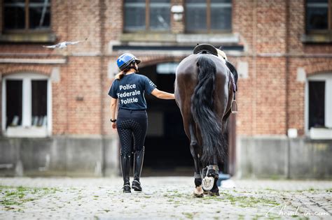 Dans Les Coulisses De La Police Cheval Cheval In