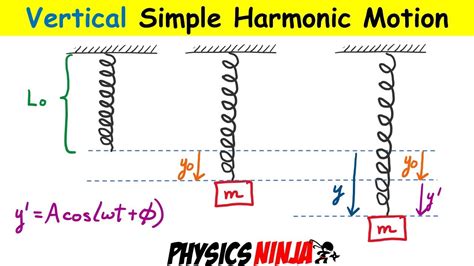 Vertical Simple Harmonic Motion Youtube