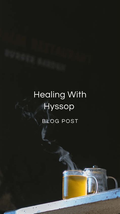 Healing With Hyssop — Zhi Herbals