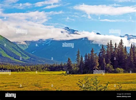 alaska summer terrain  res stock photography  images alamy
